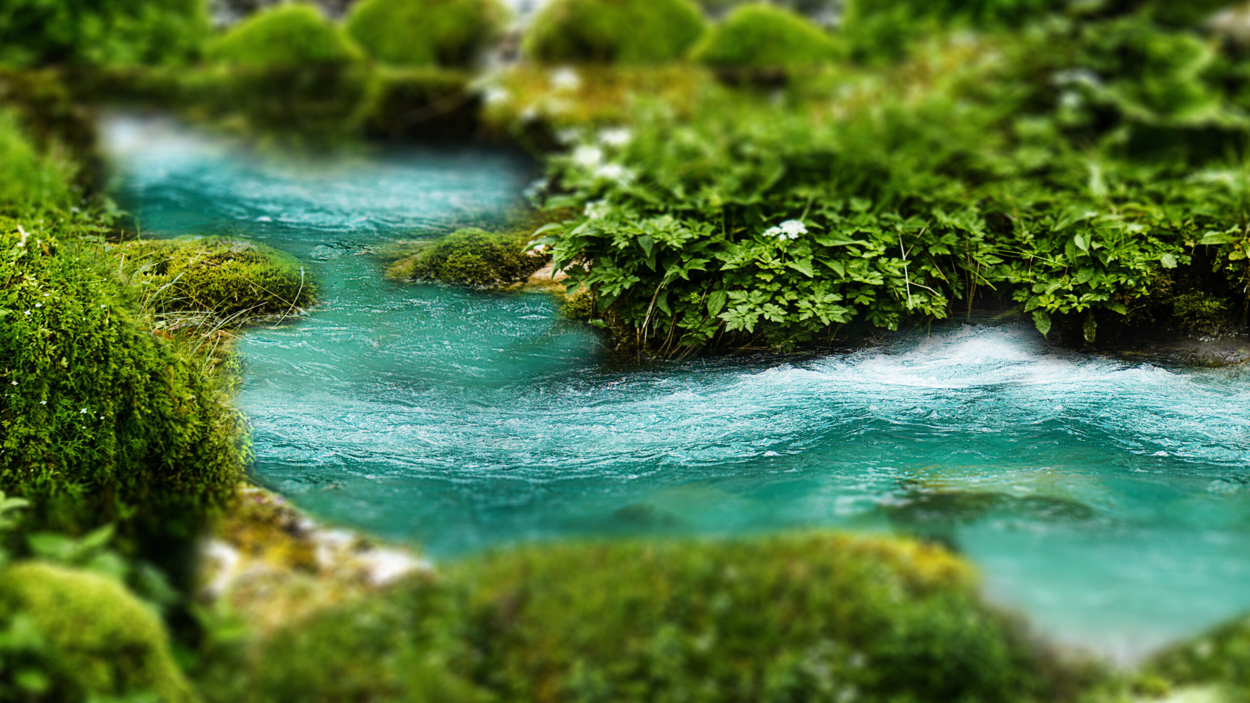 A blue river runs through a bed of green moss