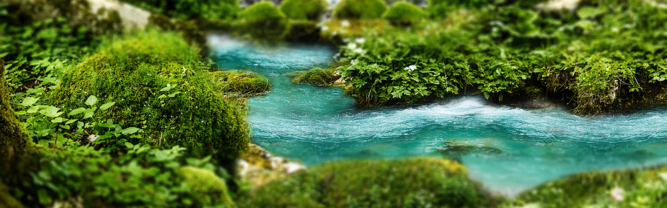 A blue river flows through a bed of green moss